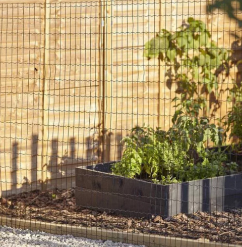 Siatka ogrodzić NASTURCJA 25x1,2 m zielony oczko 100x75mm