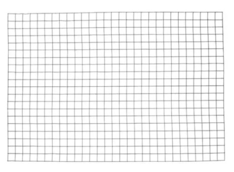 Siatka ogrodzić NATRA 5x1 m ocynk oczko 25mm zgrzewana