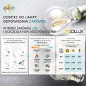 Lampa wisząca FLAVIO inox