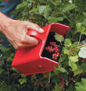 Owoce leśne jagody borówki porzeczki maszynka do zbiorów