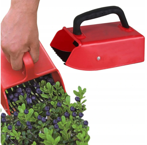 Owoce leśne jagody borówki porzeczki maszynka do zbiorów