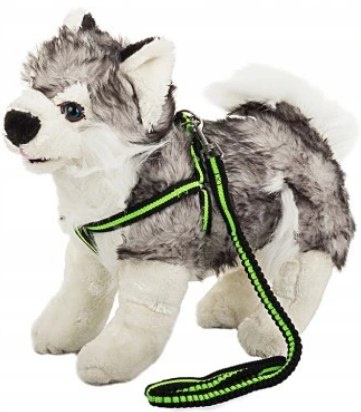 SMYCZ SZELKAMI ROZCIĄGLIWA SZELKI PSA KOTA KOLOR ZIELONY  