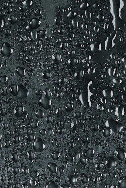 Zasłona prysznicowa BLACK 180x200 cm poliester czarna ZWY