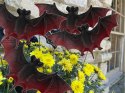 Niezwykły zestaw dekoracyjnych nietoperzy na Halloween, który wprowadzi niepowtarzalny nastrój do Twojego domowego święta!