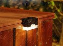 Lampki solarne 4 szt ogrodowe LED na schody taras płot czujnik zmierzchu