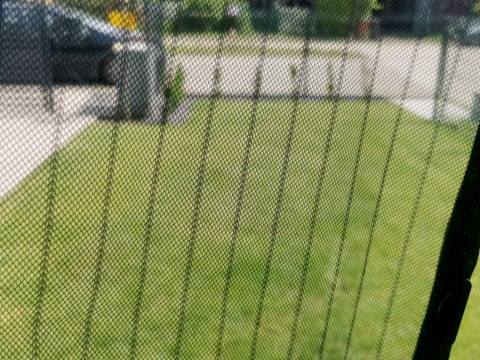 Moskitiery w nowym wydaniu - magnetyczne drzwi, które zachwycą Twoją przestrzeń!