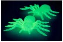 Strachy Pajęczne - Fluorescencyjna Dekoracja Halloweenowa