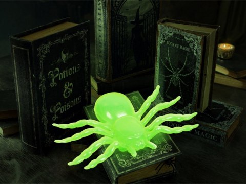 Strachy Pajęczne - Fluorescencyjna Dekoracja Halloweenowa