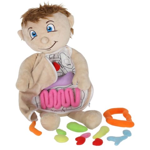 plaintext
Edukacyjna lalka anatomiczna dla dzieci - Daj swojemu maluchowi naukę!