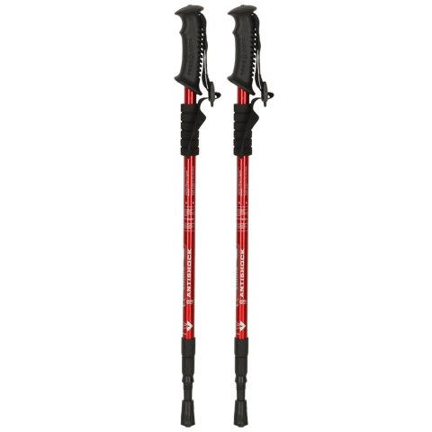 
Kijki trekkingowe do nordic walking - odpowiadaj na wezwanie natury!