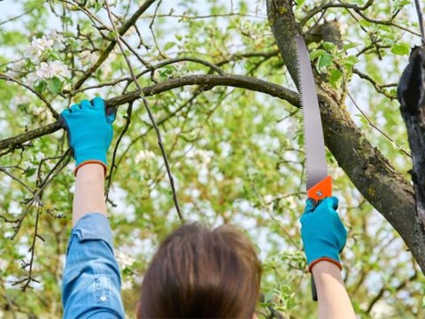 Nowoczesna piła do cięcia gałęzi z gumowaną rączką i pokrowcem