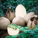  Zestaw Odkrywców Dinozaurów: Tajemnice Prehistorii w Twoich Rękach
