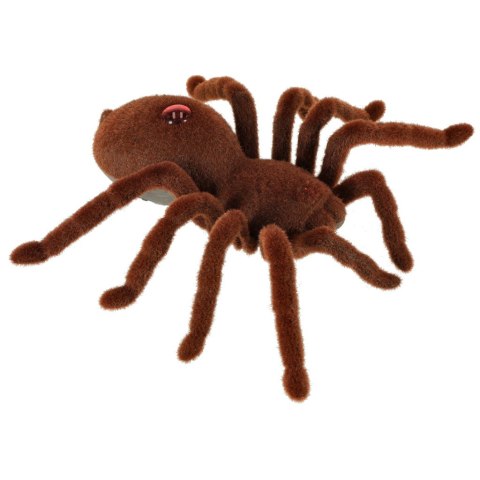  Zdalnie sterowany pająk Tarantula - emocje na wyciągnięcie ręki!