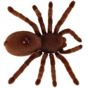  Zdalnie sterowany pająk Tarantula - emocje na wyciągnięcie ręki!