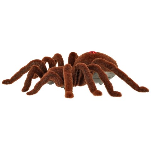  Zdalnie sterowany pająk Tarantula - emocje na wyciągnięcie ręki!