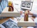Model anatomiczny zęba stomatologiczny edukacyjny przekrój wyjmowany ząb