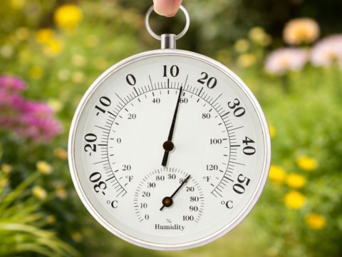 Nowoczesny termometr higrometr do ściany - kontrola temperatury i wilgotności w Twoim domu