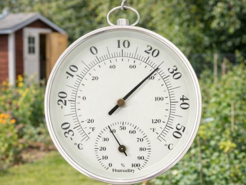 Nowoczesny termometr higrometr do ściany - kontrola temperatury i wilgotności w Twoim domu