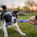 Zabawka dla psa - Szarpak z mocnego sznura do przeciągania i zabawy