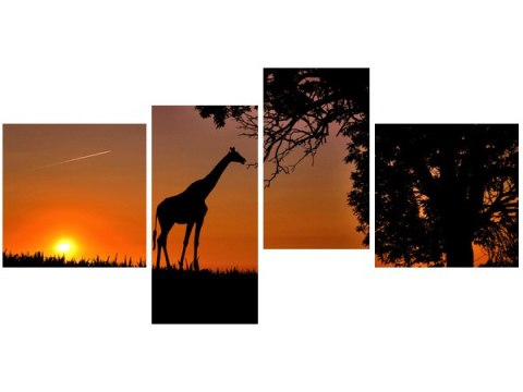 70cm 140cm Obraz    afrykański zachód słońca żyrafa