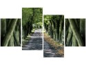 Obraz druk Leśna droga pomiędzy drzewami