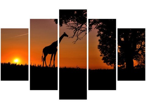 100cm 63cm Obraz    afrykański zachód słońca żyrafa