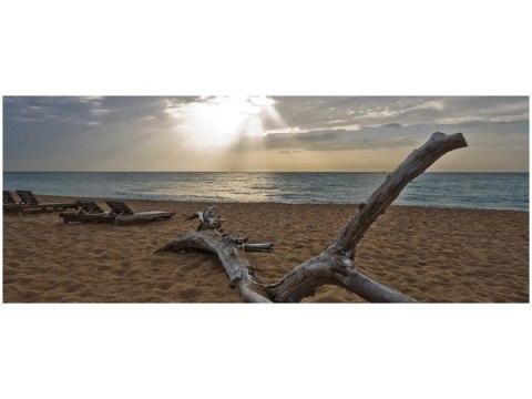 100x40cm Plaża   Benson Kua  obraz       drewno