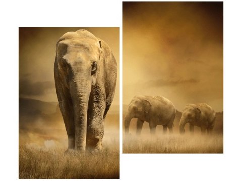 80x70cm Wędrujące słonie duo obraz      