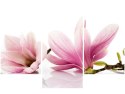 90x60cm obraz Różowe magnolie trzy obrazy      