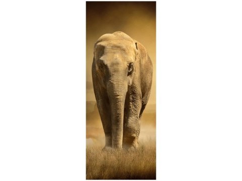 40x100cm Wędrujące słonie obraz pion      