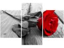 90x60cm obraz Obraz Red rose trzy obrazy      