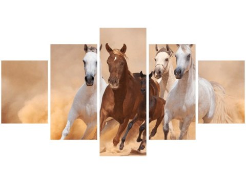 Obraz Konie biegnące galopem