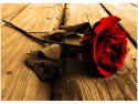 50x70cm Róża sepii obraz   pokoju   drewnine