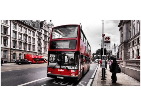 Obraz London red Double Decker