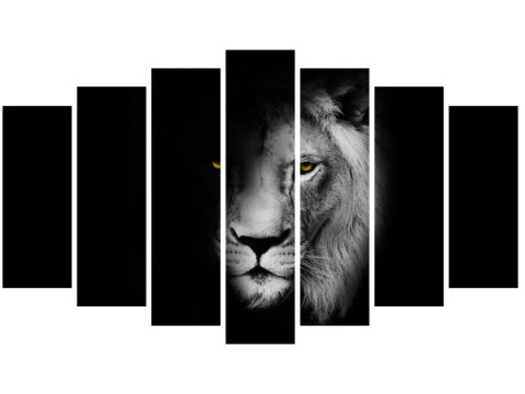 Obraz Duch mrok lew cień czarno-biały 