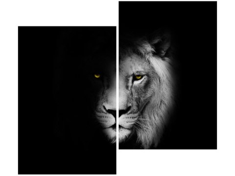 80x70cm Obraz Duch mrok lew cień czarno-biały  duo obraz      