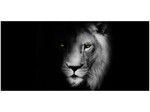 Obraz Duch mrok lew cień czarno-biały 