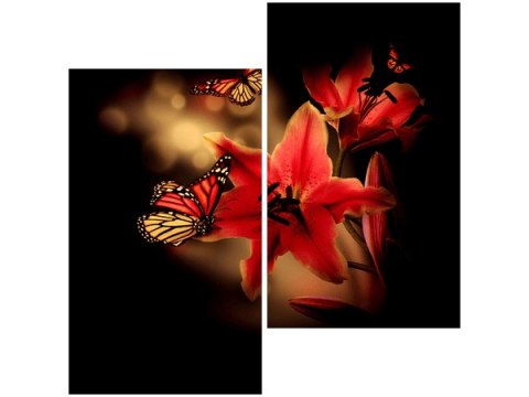 60x60cm Motyle lilia dwu obraz   ścian  