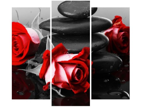 Obraz róże tle kamieni akcent kolorystyczny