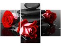 90x60cm obraz Obraz róże tle kamieni akcent kolorystyczny trzy obrazy      
