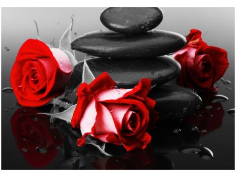 Obraz druk róże tle kamieni akcent kolorystyczny