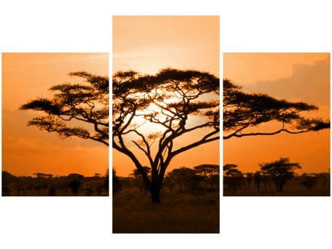 90x60cm obraz Pejzaż afrykański trzy obrazy      