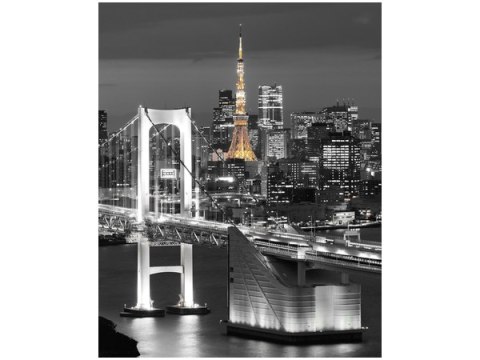 40x50cm Obraz Rainbow Bridge Wangan obraz      