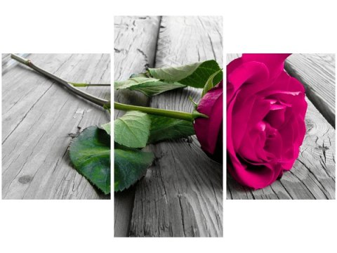 90x60cm obraz Różowa róża moście trzy obrazy      