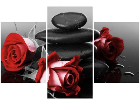 90x60cm obraz Czerwone róże      