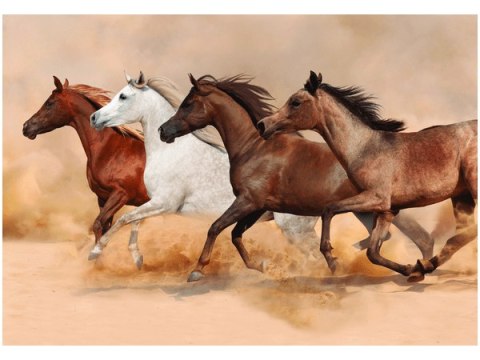Obraz druk Konie biegnące galopem