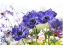 Obraz Kwiaty ogrodowe fioletowe