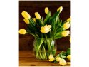 40x50cm Żółte tulipany obraz      