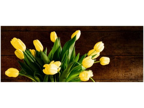 100x40cm Żółte tulipany  obraz       drewno
