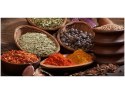 Obraz Exotic spices